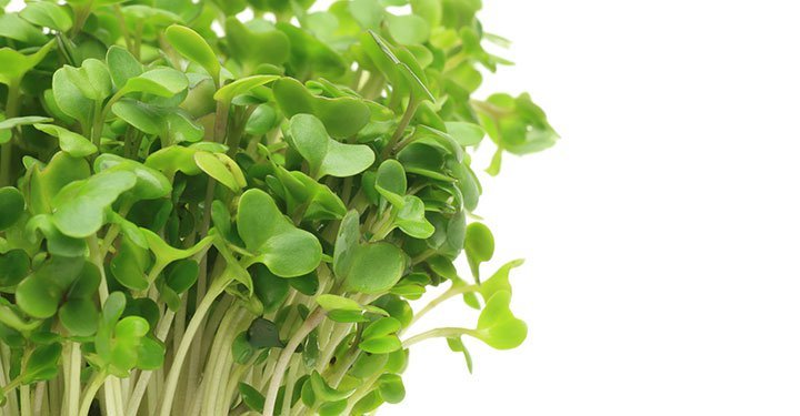 Greens For Kids? Try These 6 Surprisingly Yummy Ways To Make Them