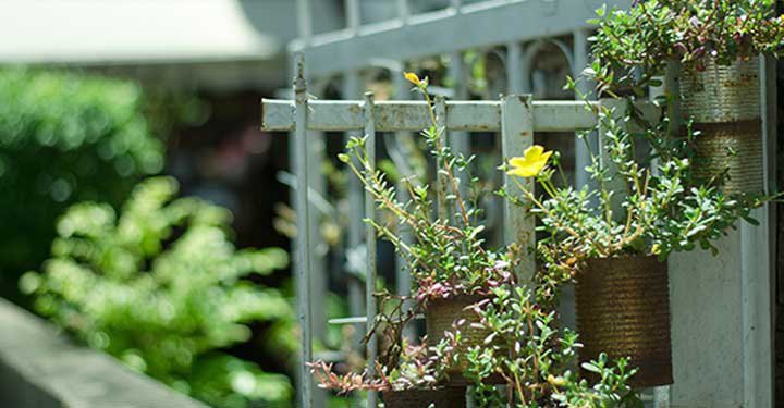 9 Fun Gardening Ideas For Kids