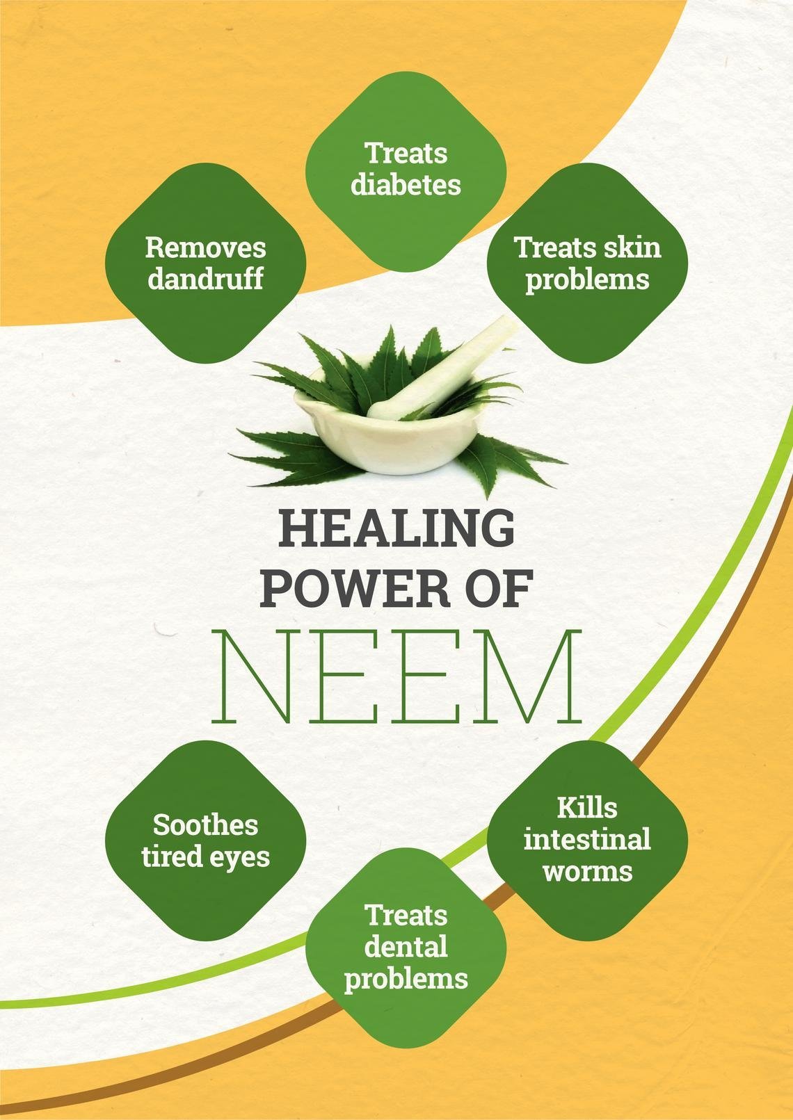 Health Benefits of Neem Leaves, Facts About Neem Trees, Neem Leaf Uses