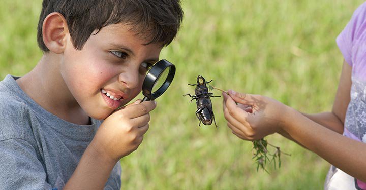 Interesting And Fun Science Facts For Kids