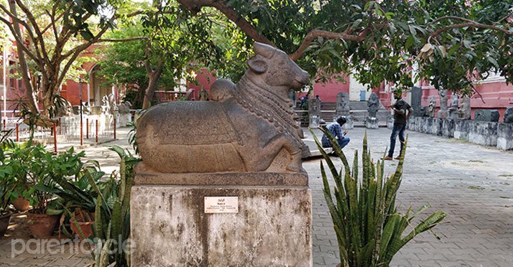 Reasons To Visit Egmore Museum With Your Family