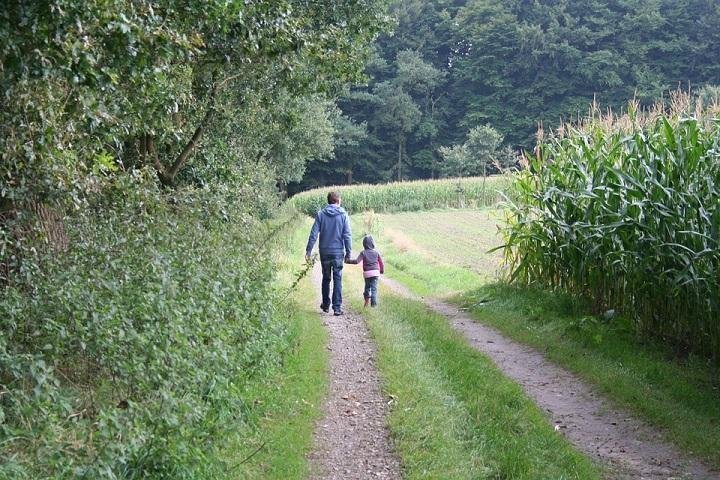 Bonding Ideas For Fathers of Young Children