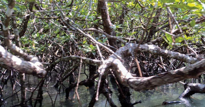 A Trip Of A Lifetime: Andaman Islands A Trip Of A Lifetime: Andaman Islands