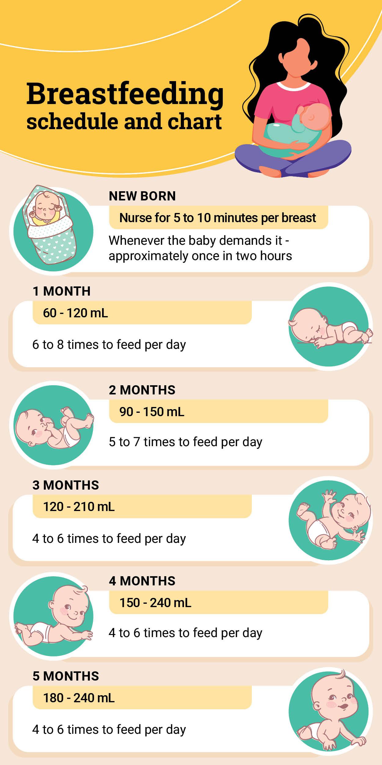 How Many Times Should A Breastfed Baby Feed At 3 Months