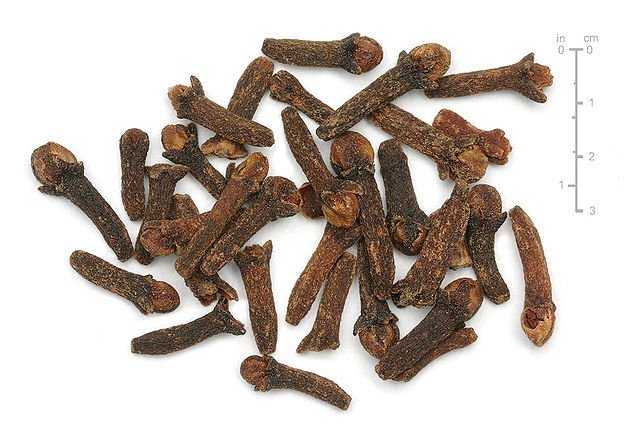 22 Common Indian Spices Every Mother Uses In The Kitchen 22 Common Indian Spices Every Mother Uses In The Kitchen