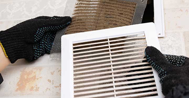 8 Natural Ways To Purify The Air At Home 8 Natural Ways To Purify The Air At Home
