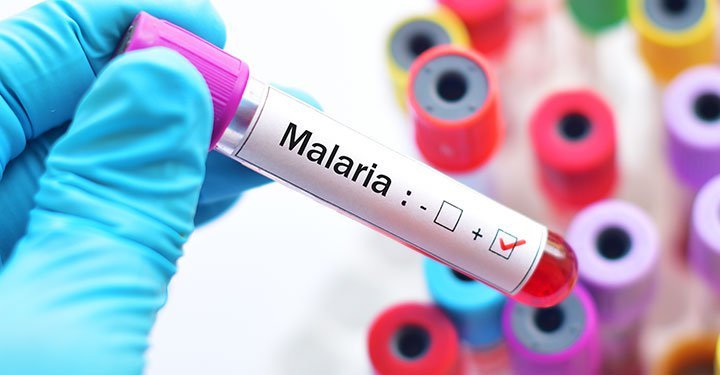 Know Mosquito, No Malaria