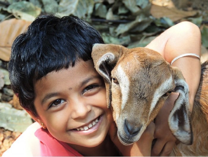 Back To The Roots: Why Children Need To Know About Farming
