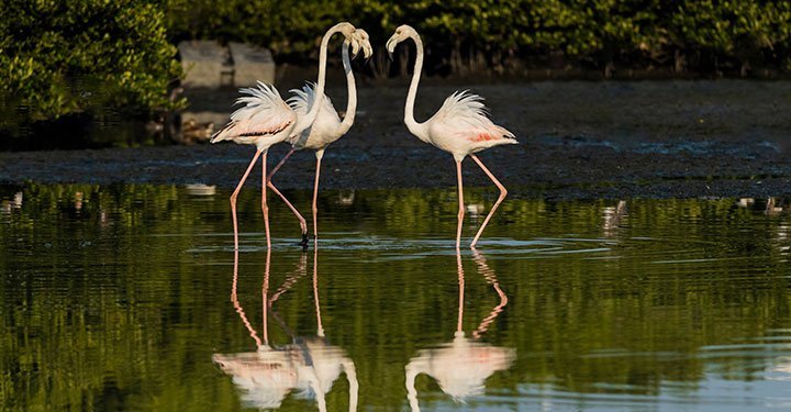 10 Places To Visit In India Before Your Child Turns 10
