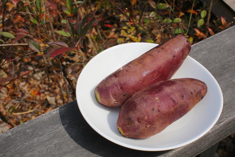 5 Nutrition-Rich Foods For Young Athletes 5 Nutrition-Rich Foods For Young Athletes