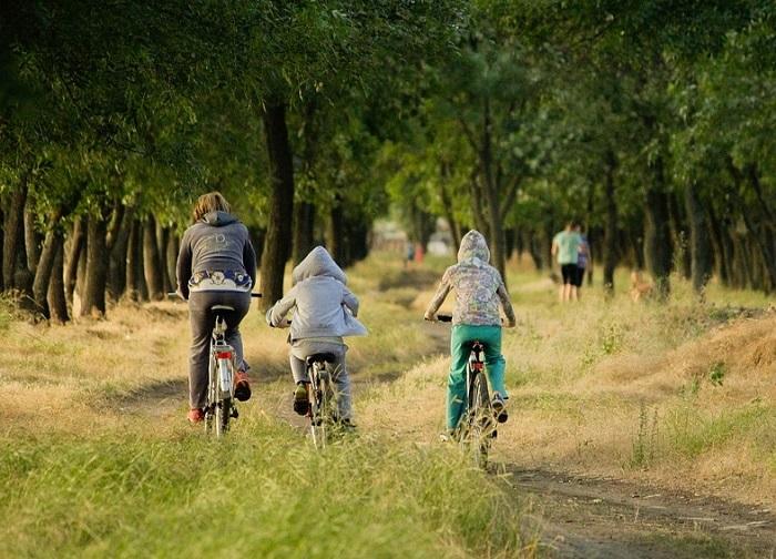 5 Destinations to Explore the Wild with Your Children this Holiday