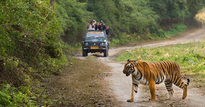 10 Places To Visit In India Before Your Child Turns 10