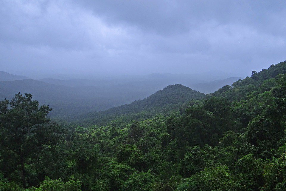 10 Amazing Things To Do In Goa With Your Kids 10 Amazing Things To Do In Goa With Your Kids