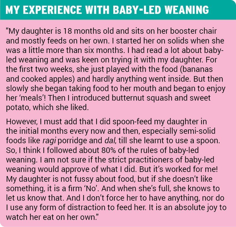 The First Foods for Baby Led Weaning (BLW) The First Foods for Baby Led Weaning (BLW)