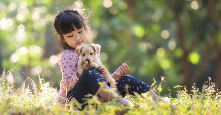 How You And Your Child Can Cope With The Loss Of A Pet