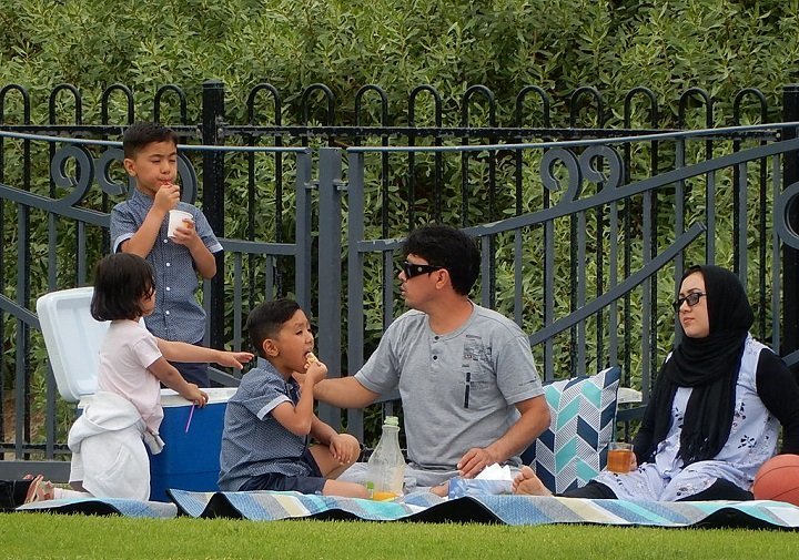 How To Organise A Fun Picnic With Your Family