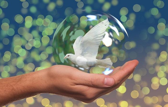 World Hello Day: 5 Things You can Do to Spread the Message of Peace