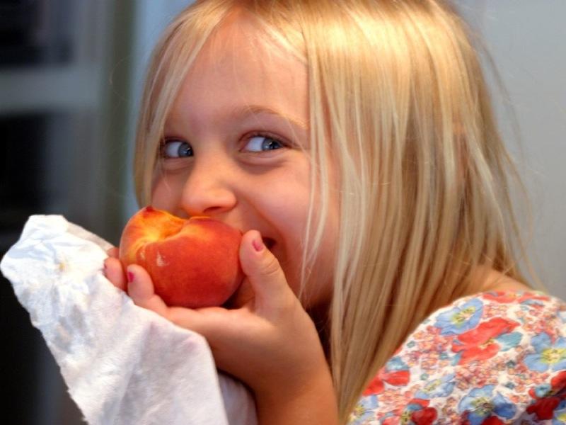 10 Foods Your Child Must Have Every Day
