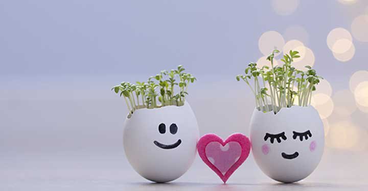 9 Fun, interesting and easy-to-do gardening ideas you can do with your children 