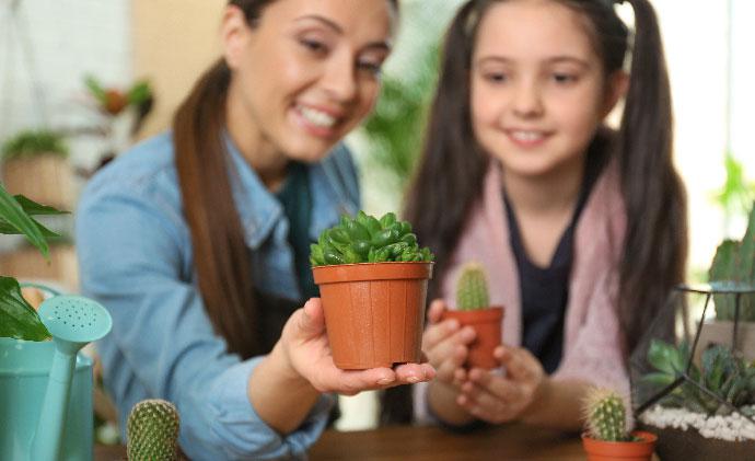 Indoor plants week: 5 plants that will add a touch of elegance to your child's room