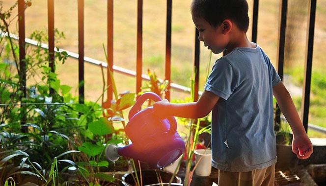 Is gardening your stress buster? Here are 10 tips on growing a home garden with your children