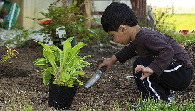 Here are a few indoor and outdoor screen-free activities to nurture your child's bond with nature