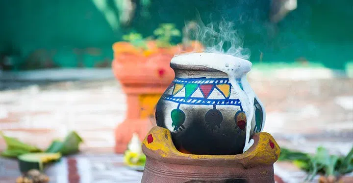 Is your child curious about Indian festivals? Know more about the harvest festivals