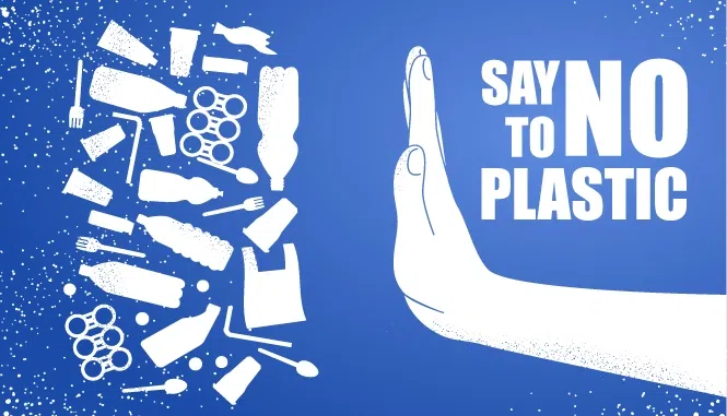 To start a plastic-free household in this new year