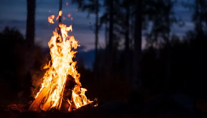 Celebrate new year in a picnic under the stars