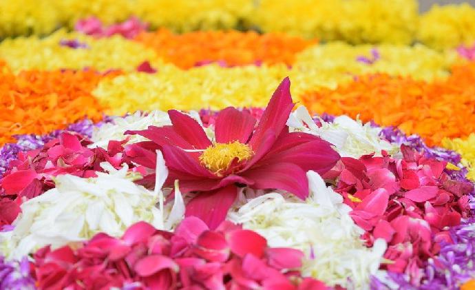 The festival of flower carpets or pookalam: Know what 10 days of Onam signify