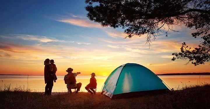 Digital Detox Mantras: 6 Fun And Effective Tips To Keep Kids Off Gadgets