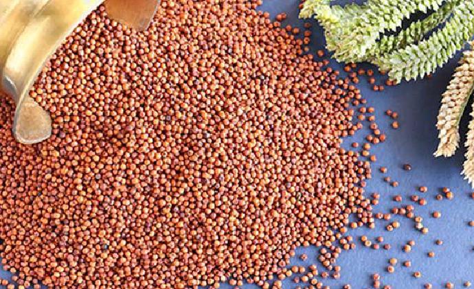 Do you include ragi in your family's diet? Here are all the reasons why you should!