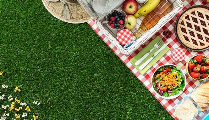 going on a picnic on the banks of a river with the entire family