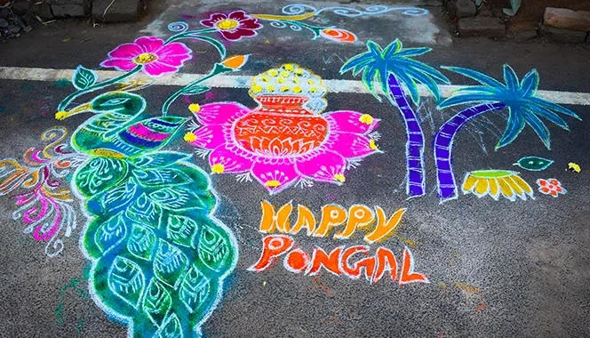 Traditions, home decor and food: Pongal or Makar Sankranti Celebration Ideas