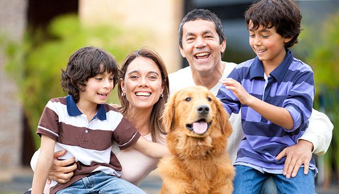 Pet and kids: 5 common myths debunked that will convince you that pets are good for child