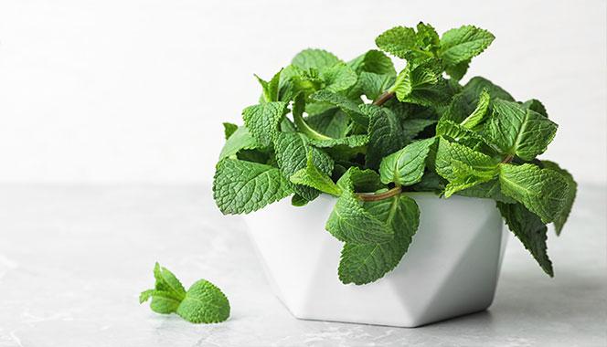 Worried that the summer heat will drain your child? Here are some cool and healthy summer foods 10